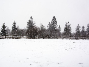 Хоёрдугаар сарын 4-нөөс нутгийн хойд хэсгээр, цаашдаа ихэнх нутгаар хүйтний эрч чангарна